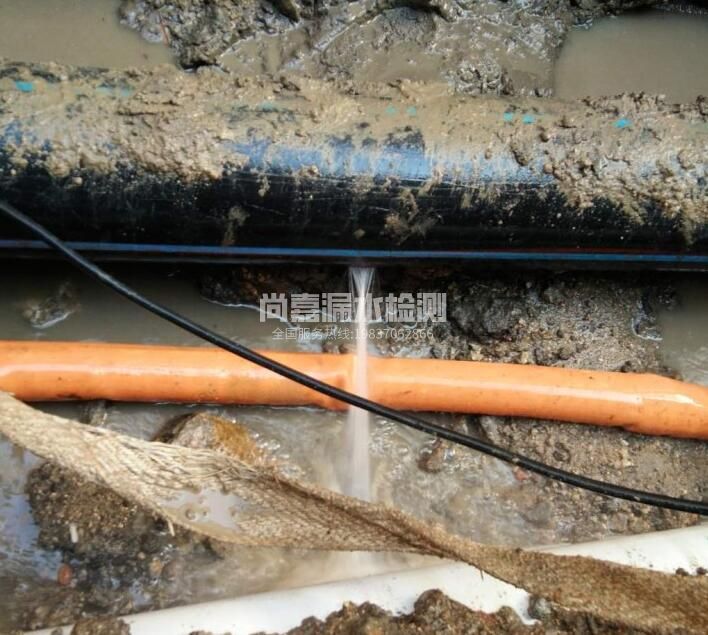 九龙坡消防管道漏水检测